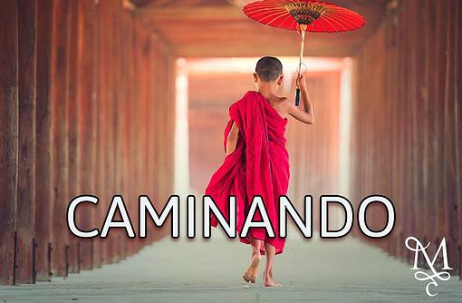 Meditación CAMINANDO ✨?‍♀️✨ |15 minutos | Encuentra tu paz interior