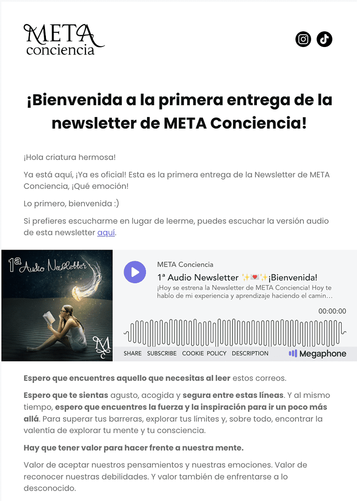 primera newsletter META Conciencia